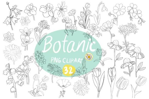 Download Botanic Flower Drawing Line Set 1 - Botanic Collection